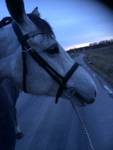 Skrittmaskin=jag