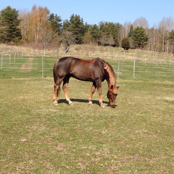 20140423-152815.jpg